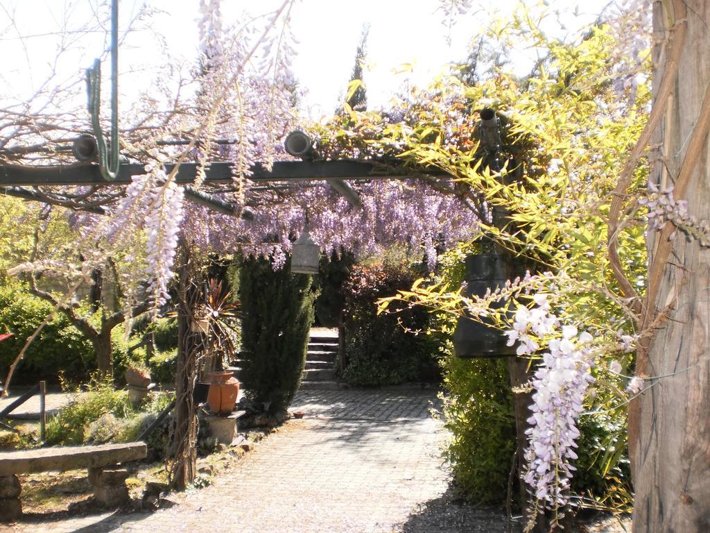 Casa Do Redondo Bed and Breakfast Rabaçal Eksteriør billede
