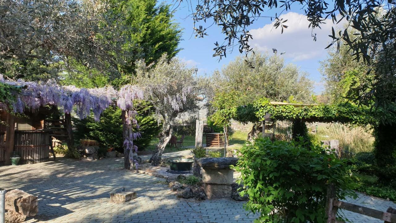 Casa Do Redondo Bed and Breakfast Rabaçal Eksteriør billede
